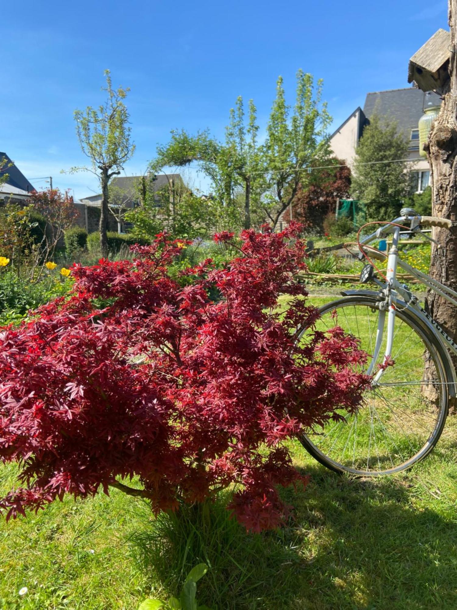 Atipyk'Ododo Bed & Breakfast Saint-James Екстериор снимка